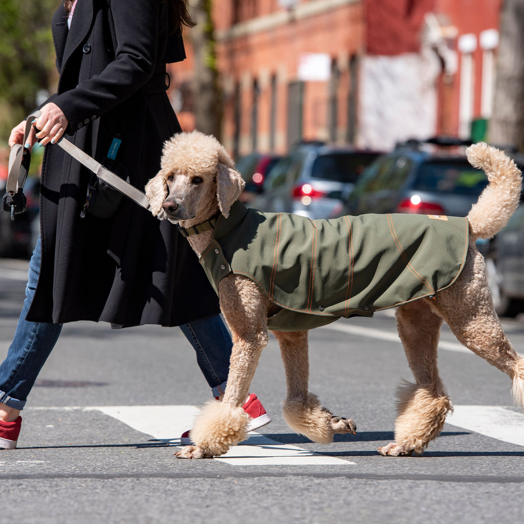 Timeless and Handmade dog wear. Designed by a dogmom and made in NYC, adjustable to fit different doggy body shapes, waterproof dog coats, premium quality made to last. Free Shipping in the USA. | Winter Coats | Kizzou - Sustainable dog wear