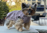 Small dog, yorkie wearing a jacket, dog wearing a jacket, pink jacket, waterproof jacket