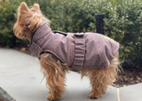 Small dog, yorkie wearing a winter coat, made of sustainable waterproof fabric, fleece lining and with adjustable snaps for a perfect fit, dog clothes in color fig