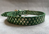 Leather Collar - Green & Gold