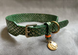 Leather Collar - Green & Gold