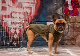 Frenchie wearing dog coat, dog in dog waterproof coat, city dog, dog waterproof coat, dog waterproof jacket 