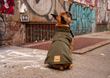 Brownie Rain Coat - Olive