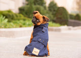 griffon wearing a rain jacket, griffon in the streets of NYC, small dog wearing a rain jacket, griffon wearing a sustainable rain jacket