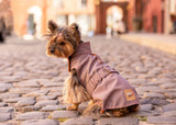 Small dog, yorkie wearing a jacket, dog wearing a jacket, pink jacket, waterproof jacket