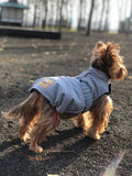 Small size dog seating in a bench wearing a Kizzou winter jacket, easy to put on, adjustable to fit different body shapes and made in the USA, dog clothes, dog rain coat, dog waterproof coat, dog jacket, dog waterproof jacket, dog winter wear 