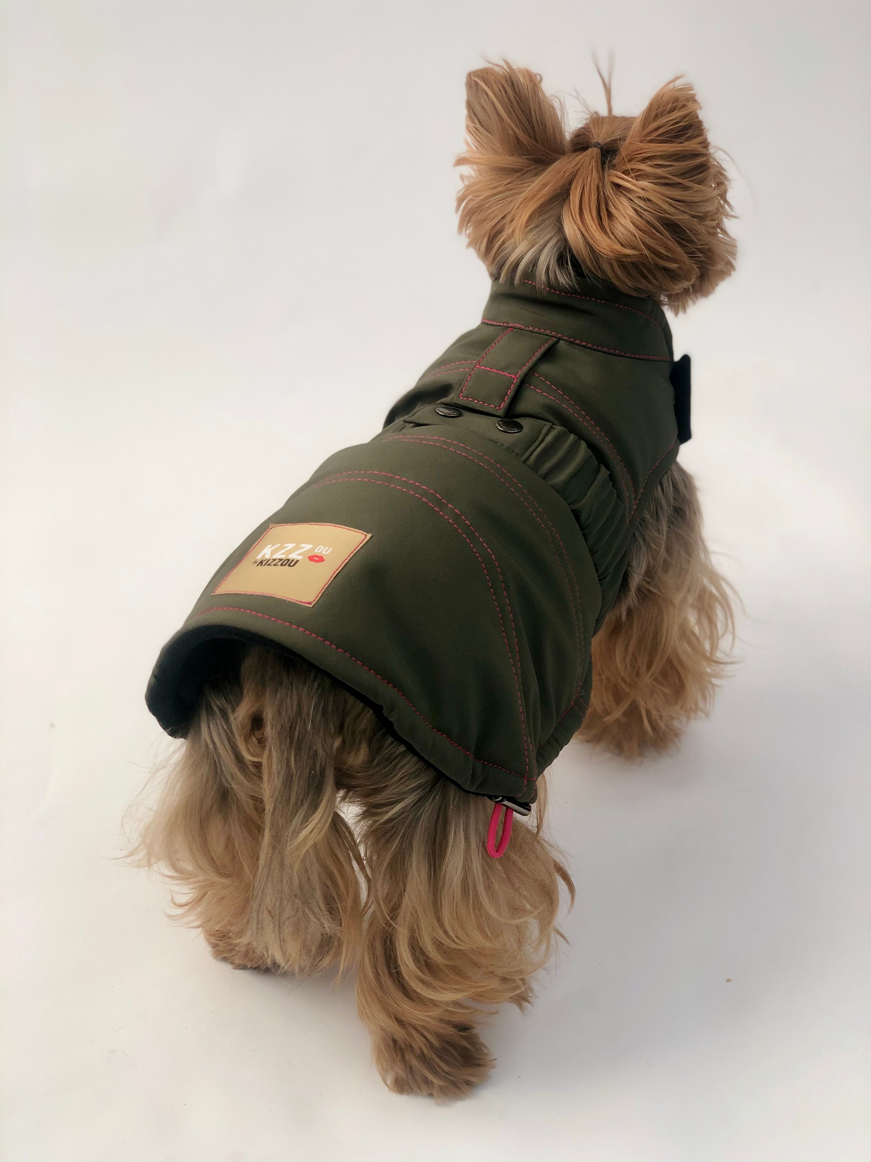 Small size  dog wearing a Kizzou winter jacket is adjustable to fit different dog body shapes, easy to put on and made of quality materials.