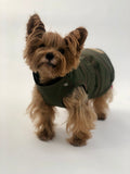 Small size dog wearing a Kizzou winter jacket is adjustable to fit different dog body shapes, easy to put on and made of quality materials.